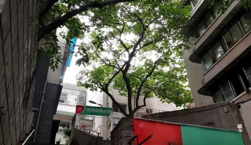 重庆惠源家养老-曾家岩养老院