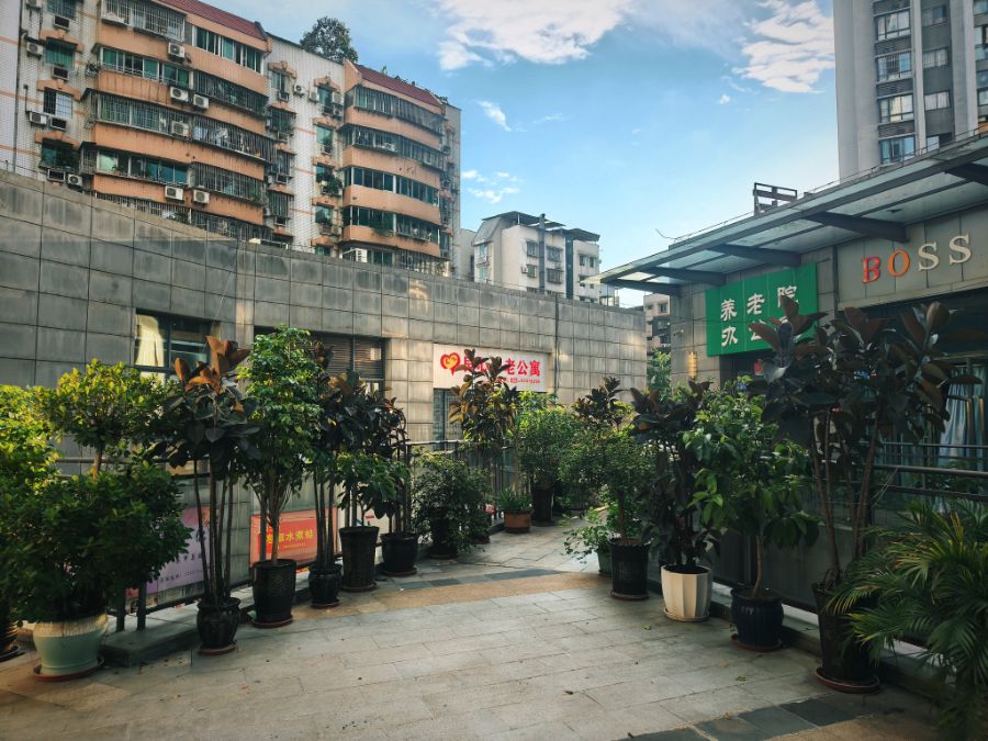 重庆良心养老院有限公司
