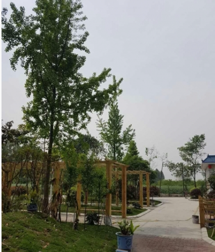 金马河畔颐养小镇